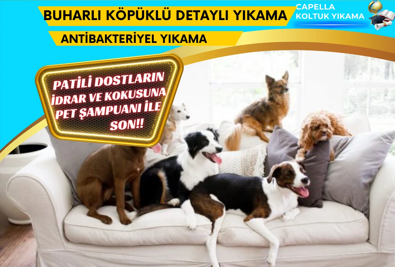Koltuk Yıkama İzmir
