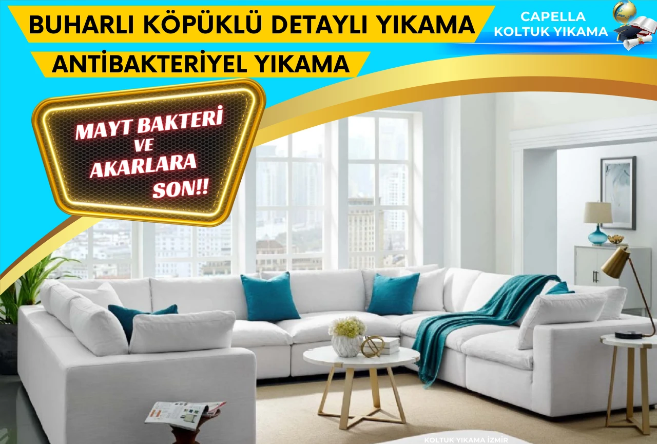 Capella Koltuk Yıkama